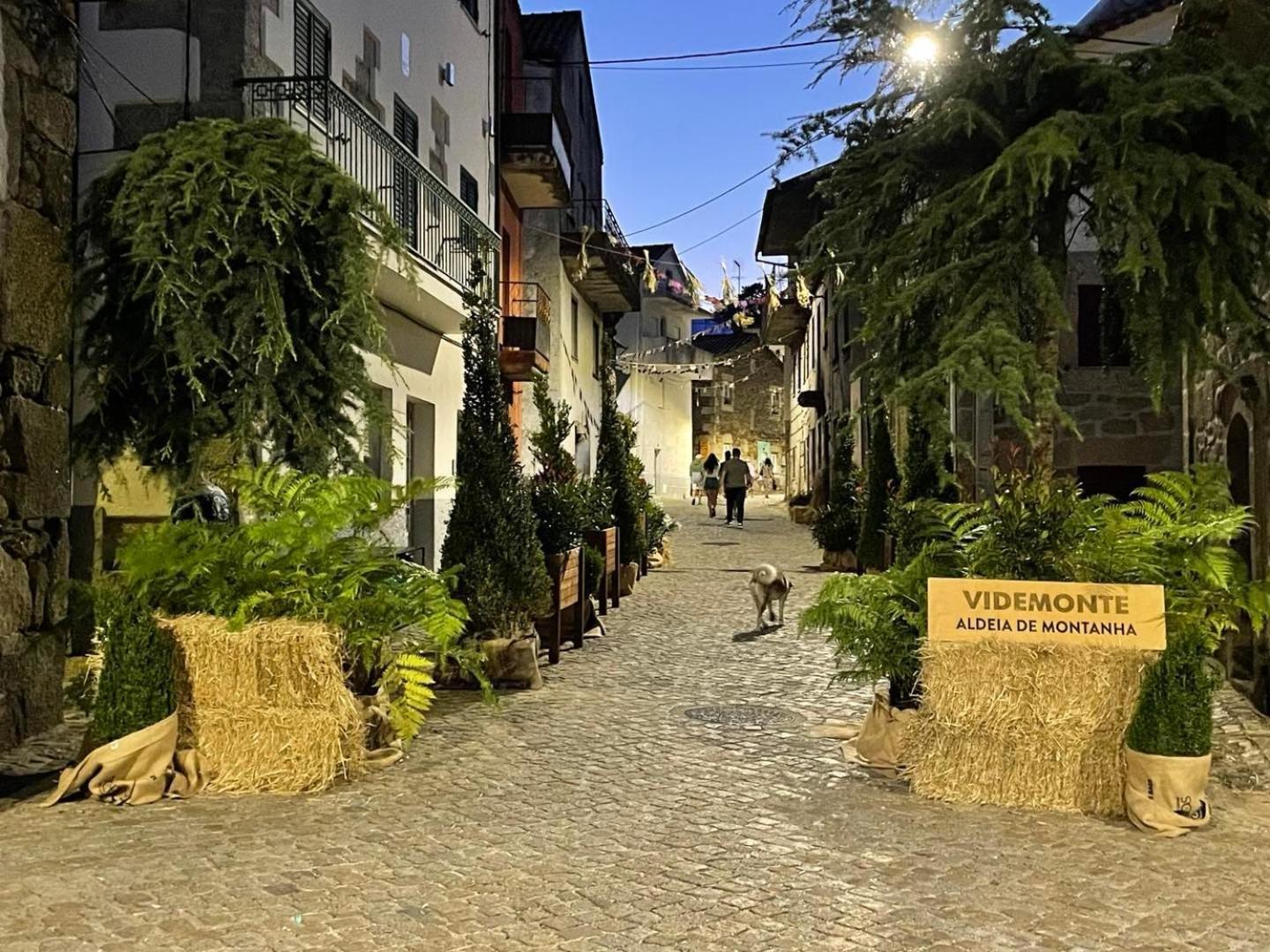 Casa De Xisto Ti Lucilia Villa Videmonte Buitenkant foto